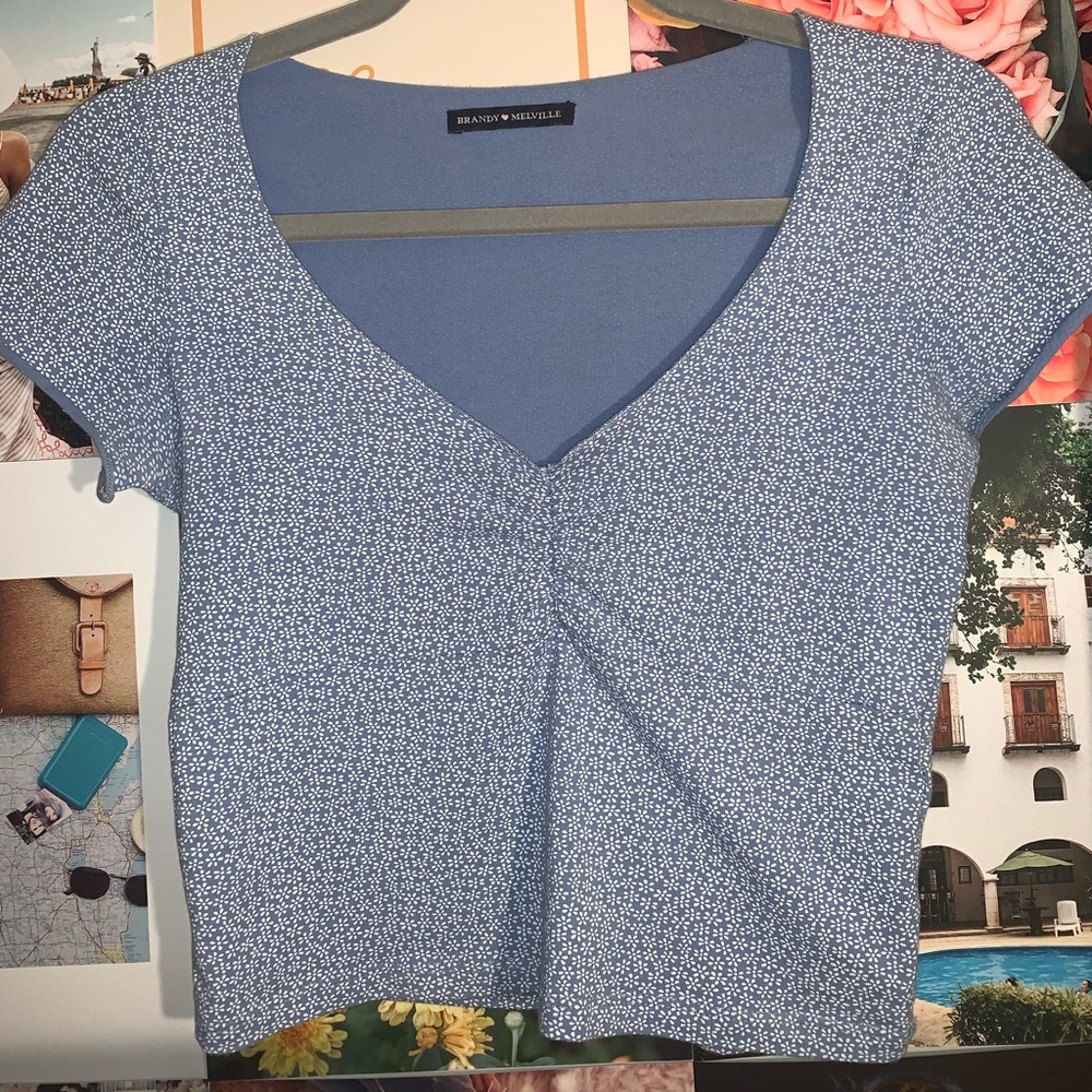 Brandy Melville Blue Floral Gina Top